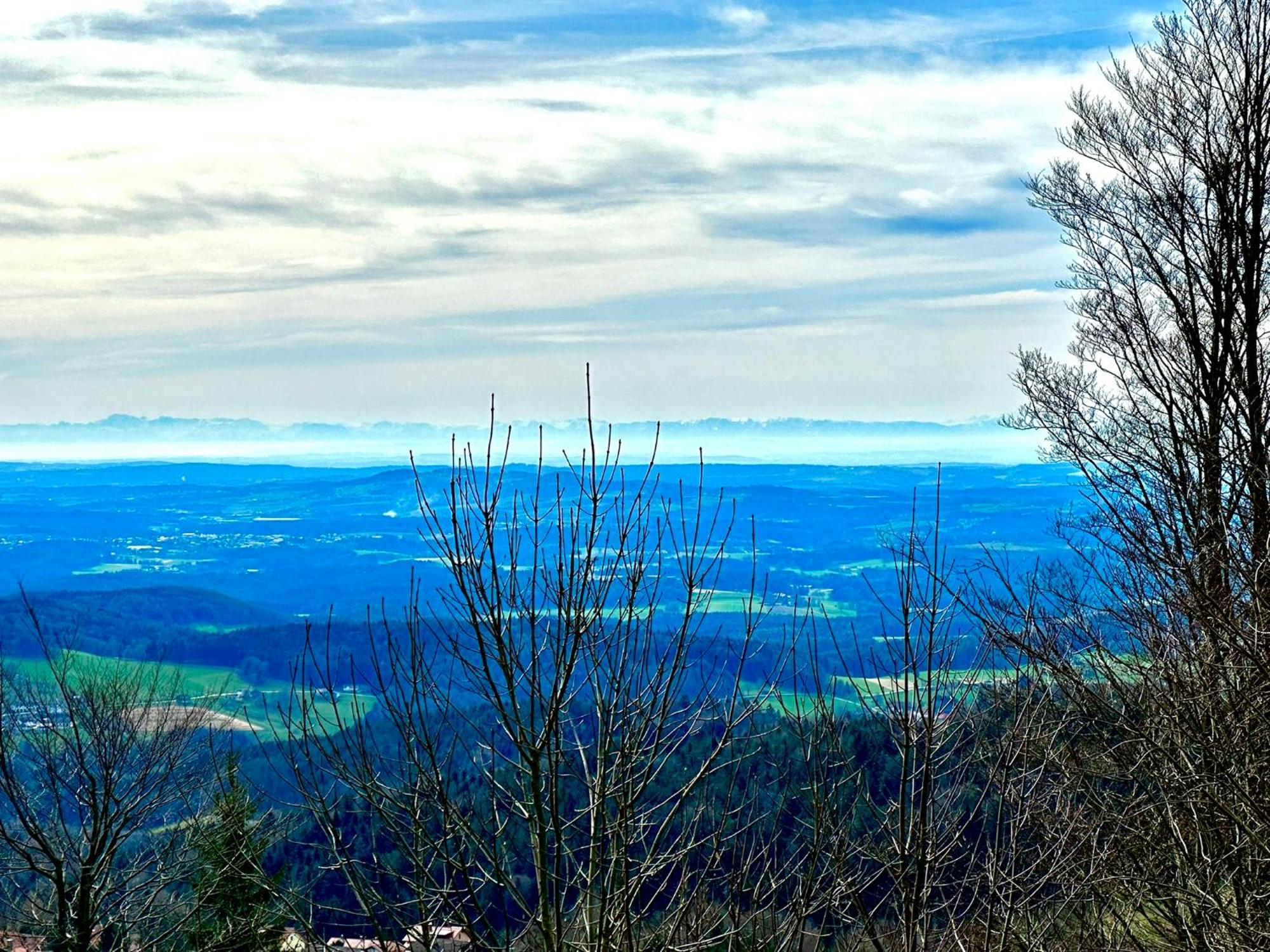 Gemuetliches Alpenblick Berg-Bungalow + Grosser Garten + Netflix! Schöfweg Exterior foto